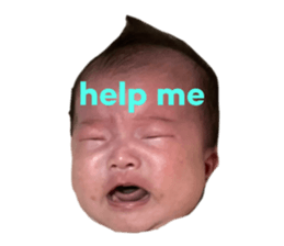 523066168