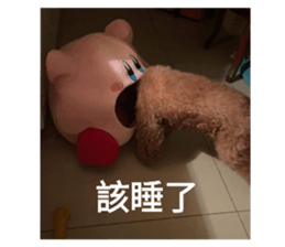 523107268