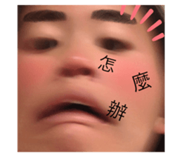 523112775