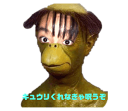523174886