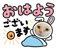 523176369