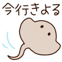 523176729