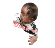 523186475