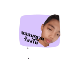 523191842