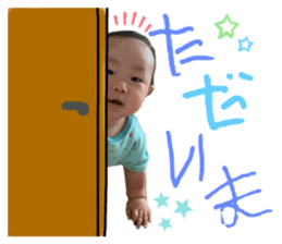523254693