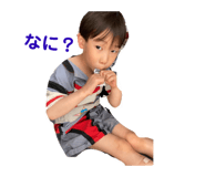 523272410