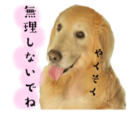 523275405