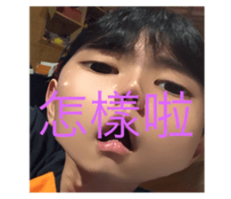 523311589