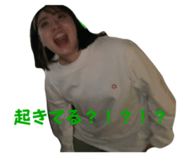 523312604