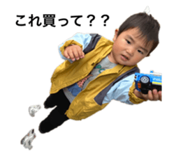 523319881