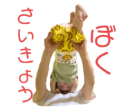 523325891