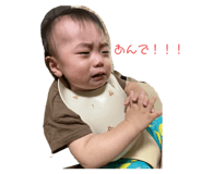 523325893