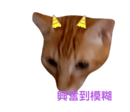 523336148