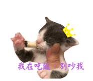 523336149