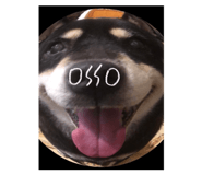 523376734