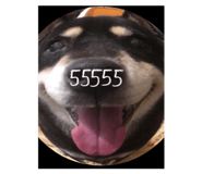 523376745