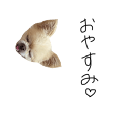 523403257
