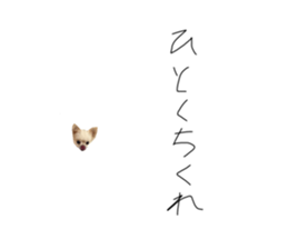 523403260