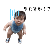523403273