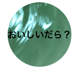 523410363