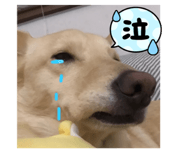 523410635