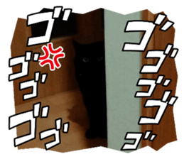 523422604