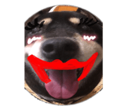 523424343