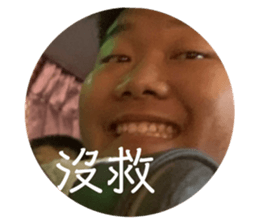 523499419