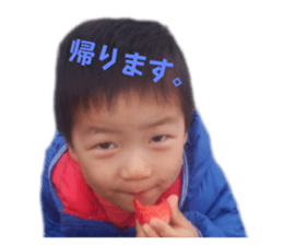 523507212