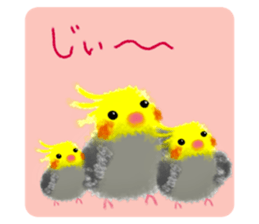 523509423