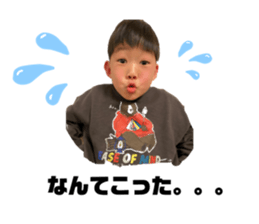 523544804