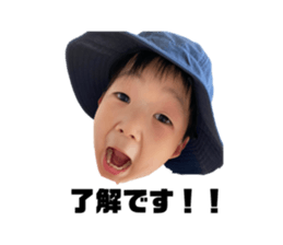 523544809