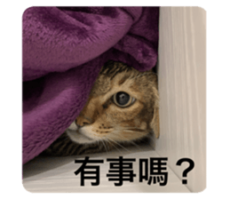 523546776