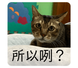 523546787
