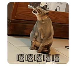 523546801