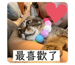 523546803