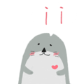 523559244