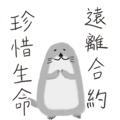 523559250