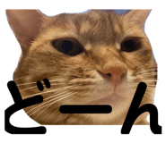 523577383