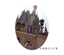 523603419