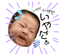523627831