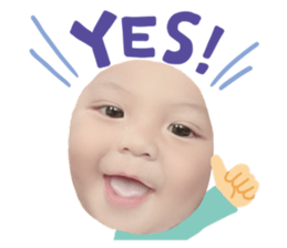 523628891