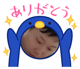 523647042
