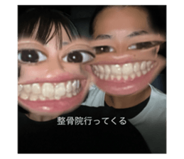 523650053