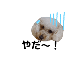 523661320