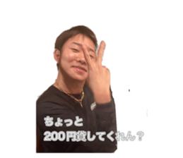 523664801