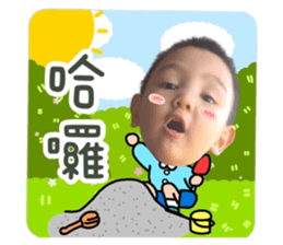 523667946