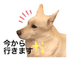 523670804
