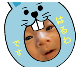 523684029