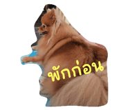 523745869